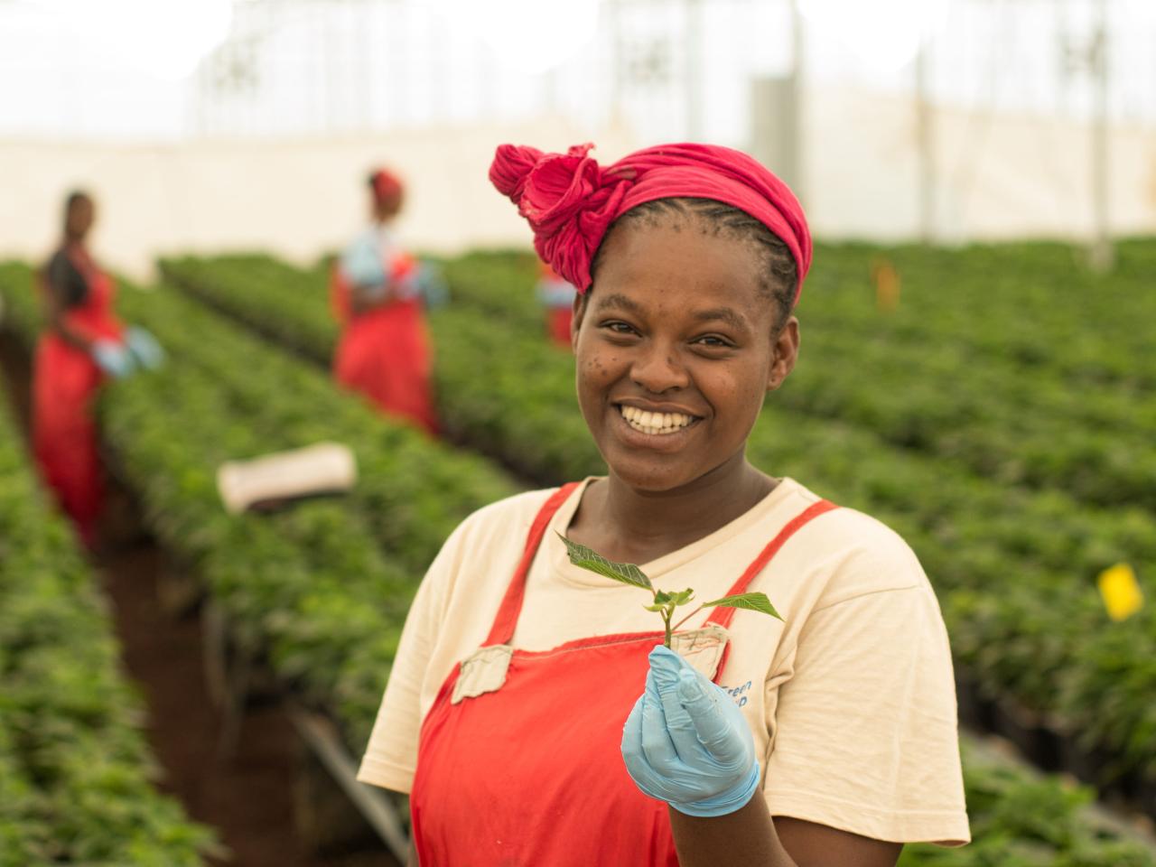 Shaping the EU Sustainable Corporate Governance legislation for the benefit of small farmers and worker with a specific focus on companies’ purchasing practices