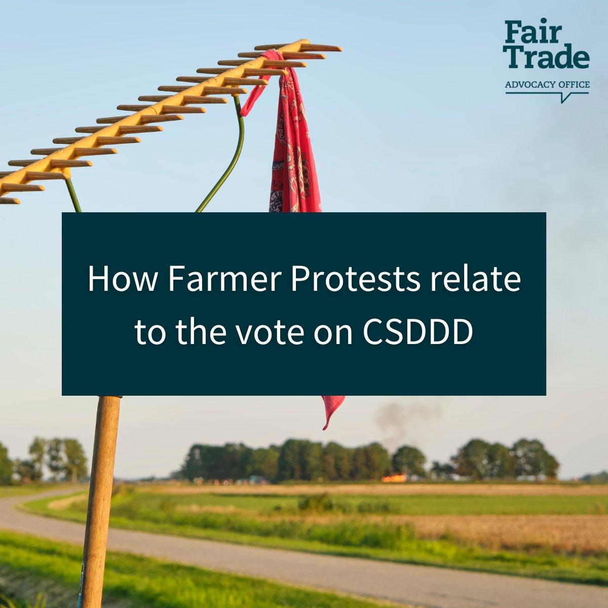 The CSDDD provides a historical opportunity for European farmers