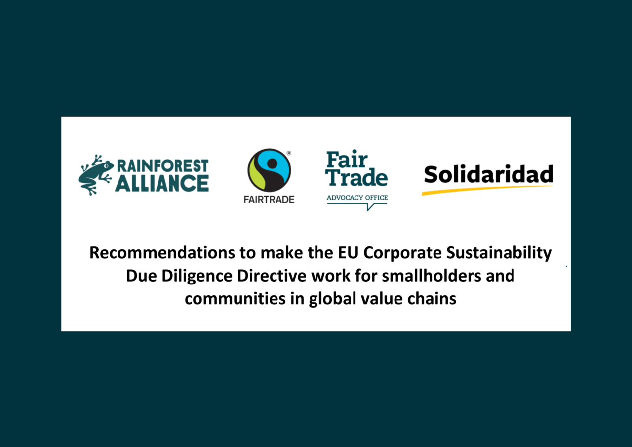 Recommendations to make the EU Corporate Sustainability Due Diligence Directive work for smallholders and communities in global value chains