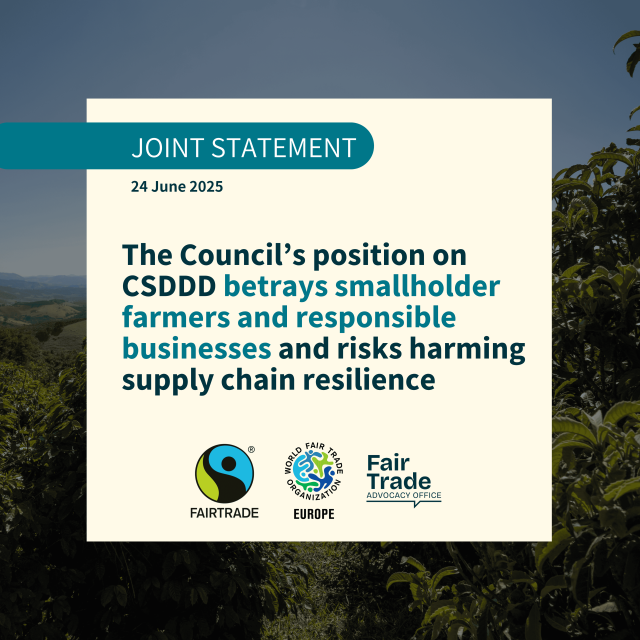 The Council’s position on CSDDD betrays smallholder farmers and responsible businesses and risks harming supply chain resilience