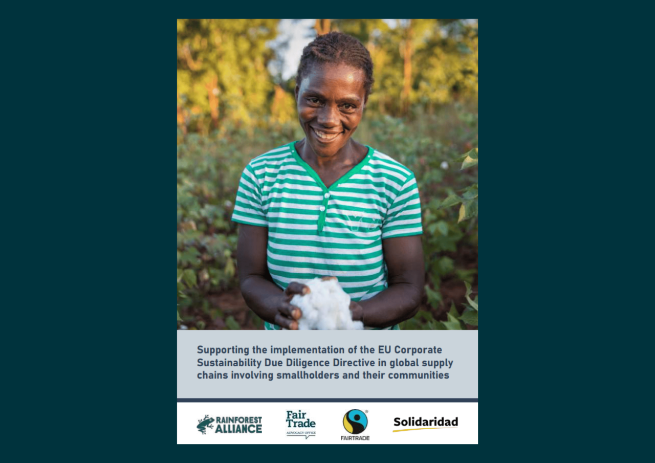 Supporting the implementation of the EU Corporate Sustainability Due Diligence Directive in global supply chains involving smallholders and their communities