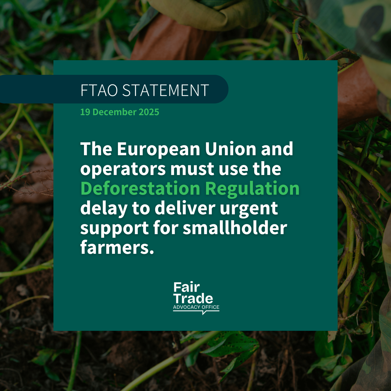 EU and operators must use the EUDR delay to deliver urgent support for smallholder farmers