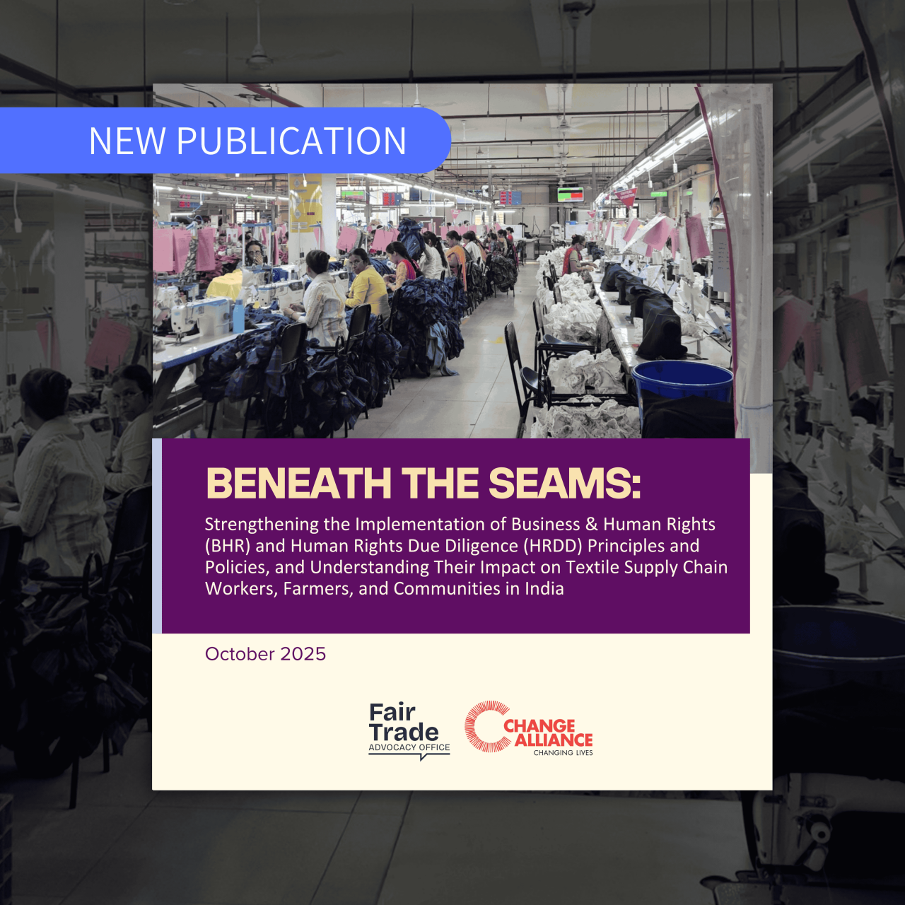 Beneath the Seams: Strengthening Human Rights Due Diligence and its impact on textile workers, farmers and communities in India