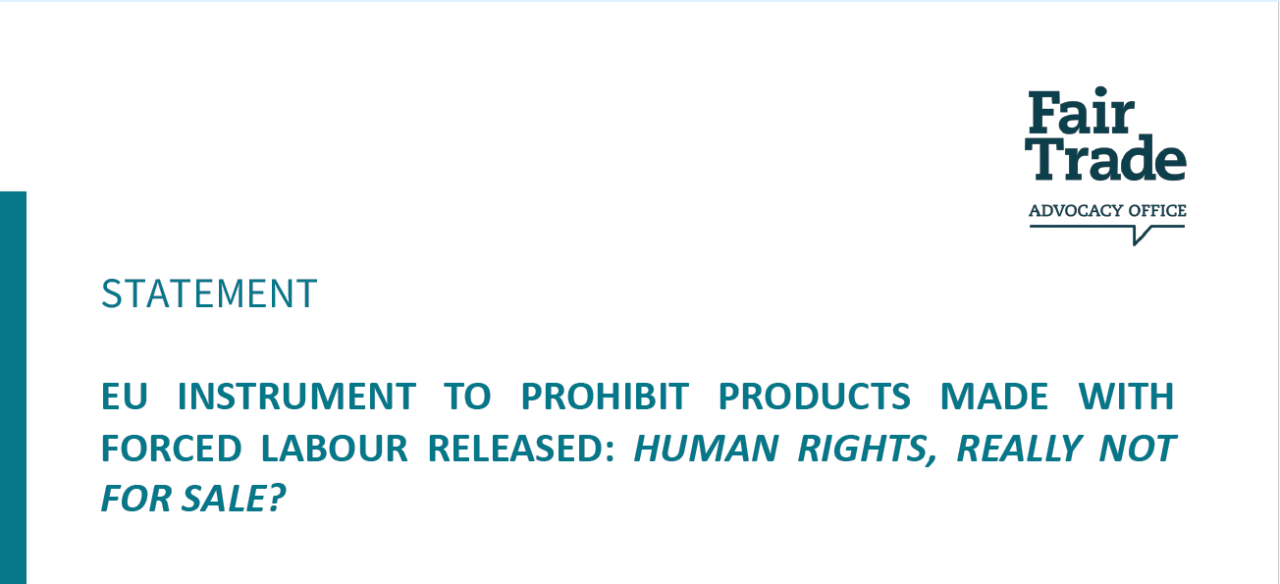EU instrument to prohibit products made with forced labour released: Human Rights, really not for sale?