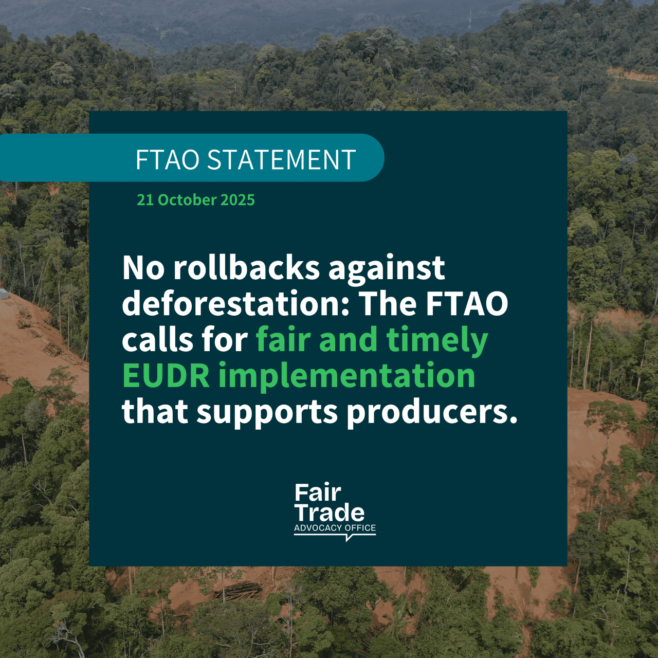 No rollbacks against deforestation: The FTAO calls for fair and timely EUDR implementation that supports producers