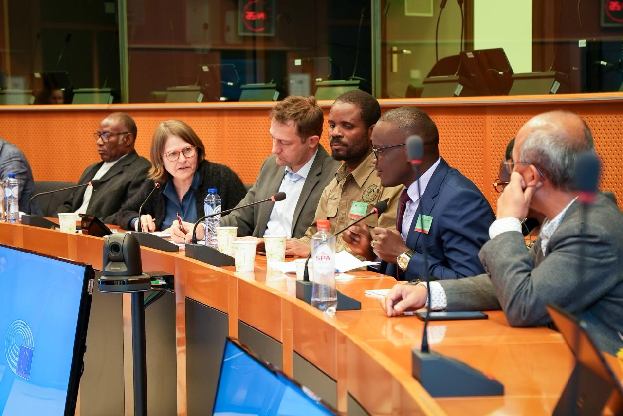 African and Asian farmers at the European Parliament: Only better incomes can drive sustainable value chains