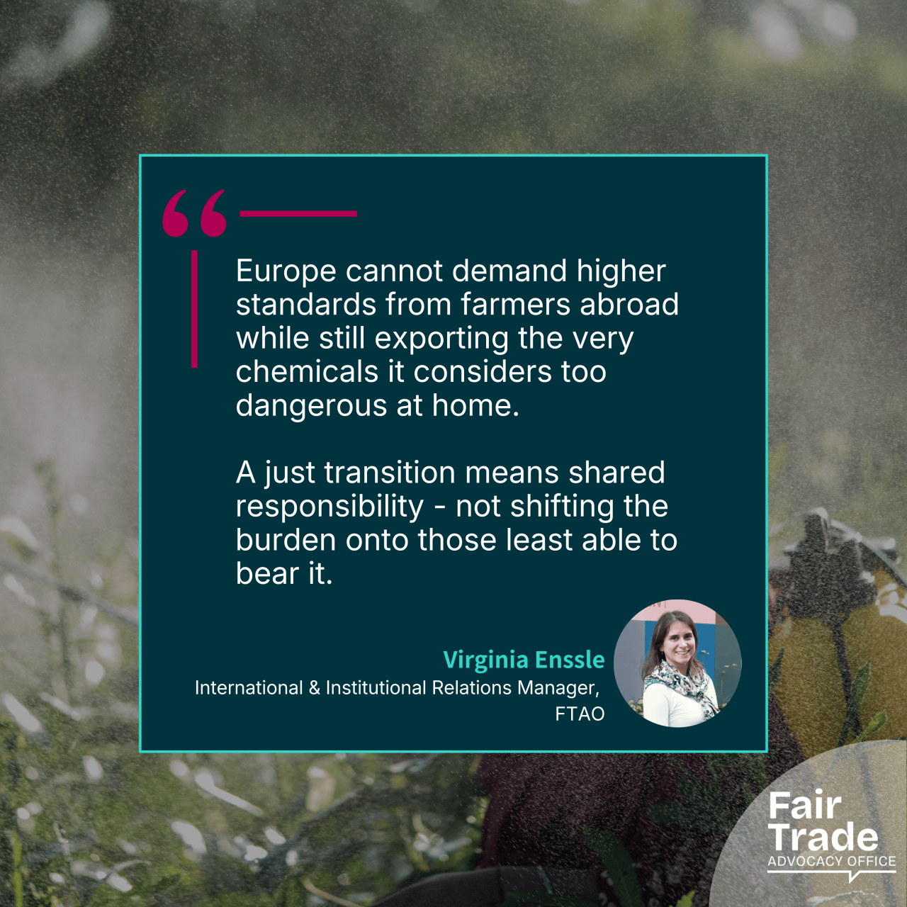 Fair Trade Movement calls on EU to adopt a just, global phase-out of Highly Hazardous Pesticides