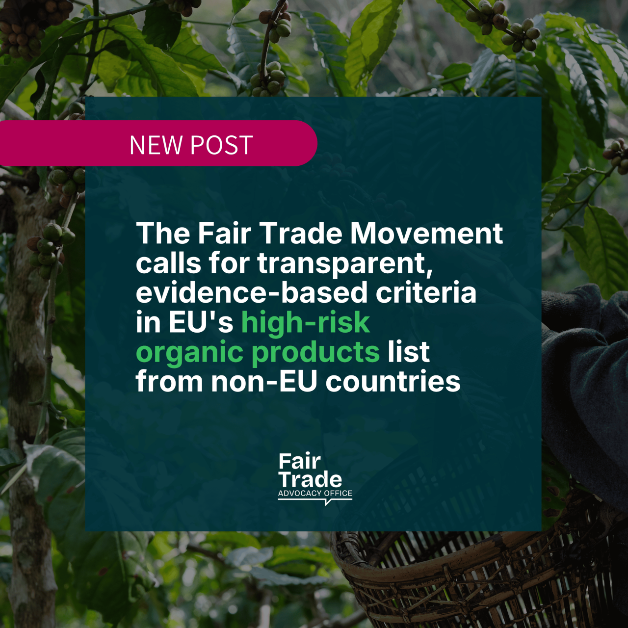 The Fair Trade Movement calls for transparent, evidence-based criteria in EU's high-risk organic products list from non-EU countries