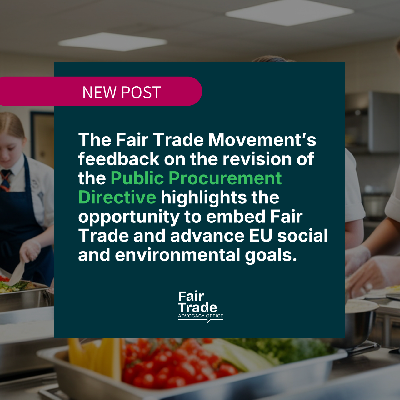 The Fair Trade Movement’s feedback on the revision of the Public Procurement Directives