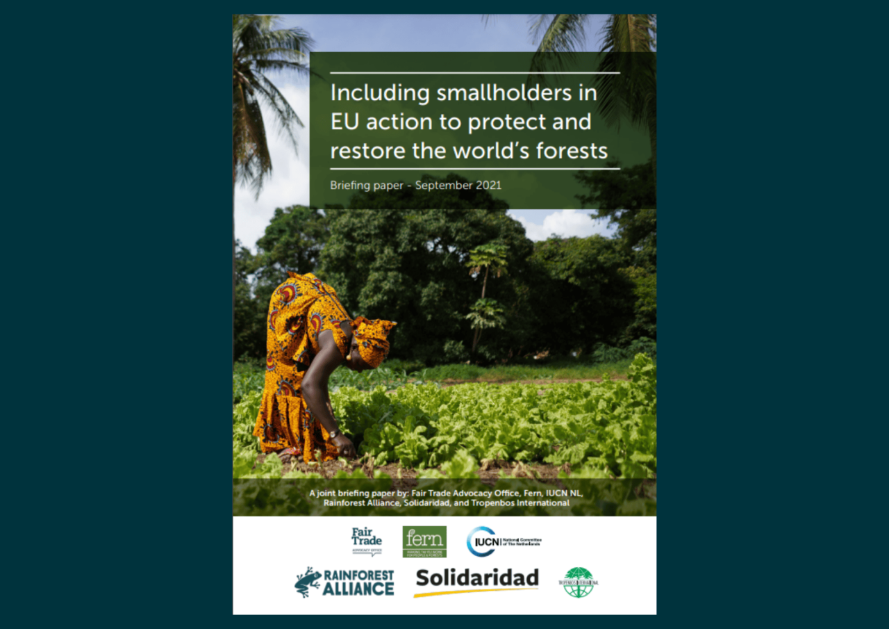 Including smallholders in EU action to protect and restore the world’s forests