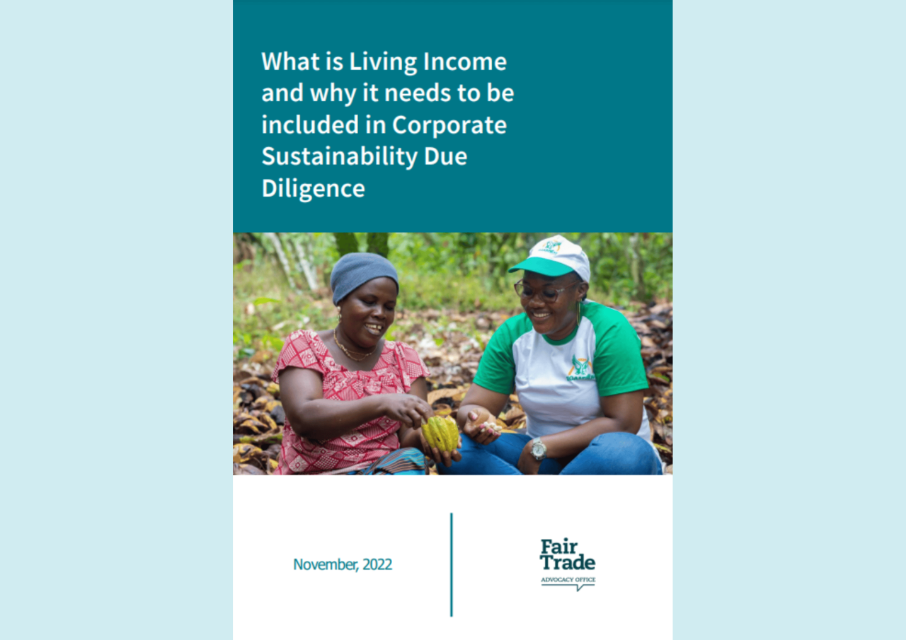 What is Living Income and why it needs to be included in Corporate Sustainability Due Diligence