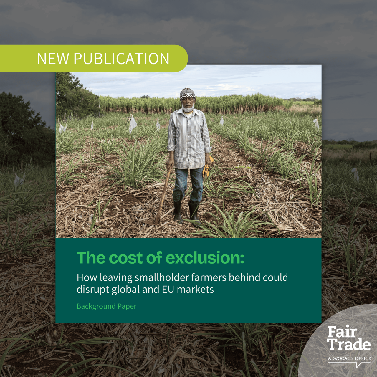 The cost of exclusion: How leaving smallholder farmers behind could disrupt global and EU markets