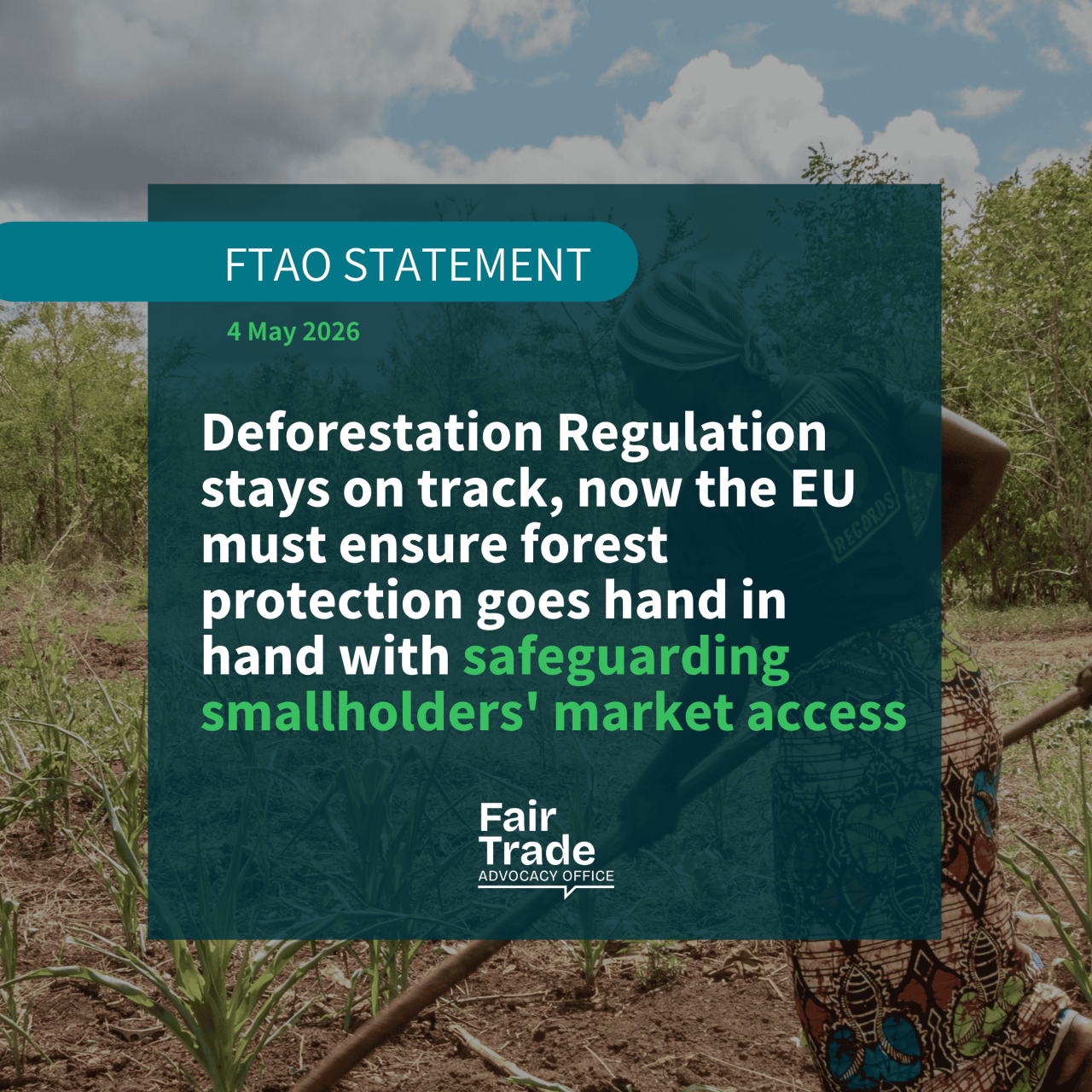 Deforestation Regulation stays on track, now the EU must ensure forest protection goes hand in hand with safeguarding smallholders' market access