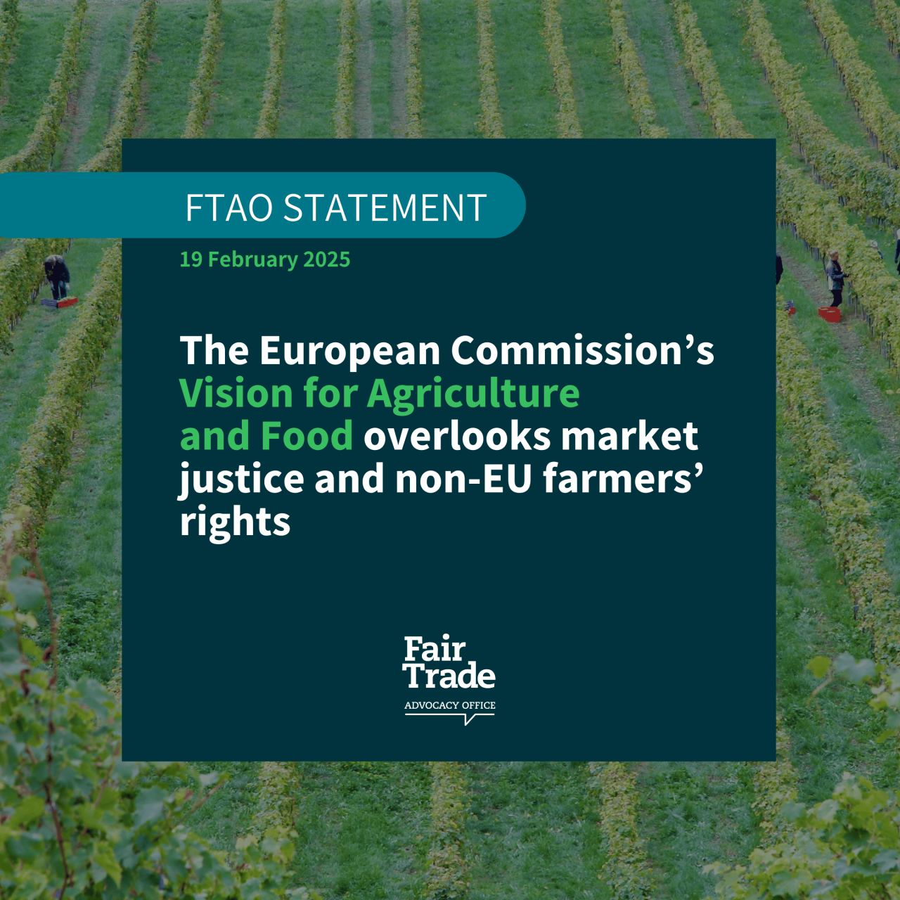 New EU Vision for Agriculture and Food overlooks market justice and non-EU farmers’ rights