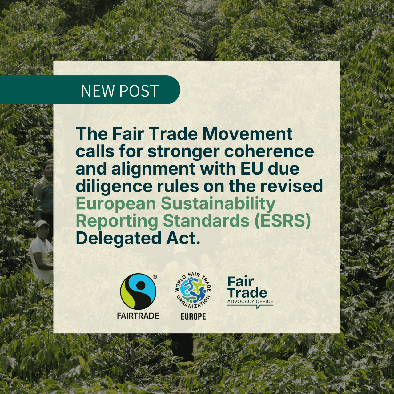 The Fair Trade Movement’s feedback on the revised European Sustainability Reporting Standards Delegated Act