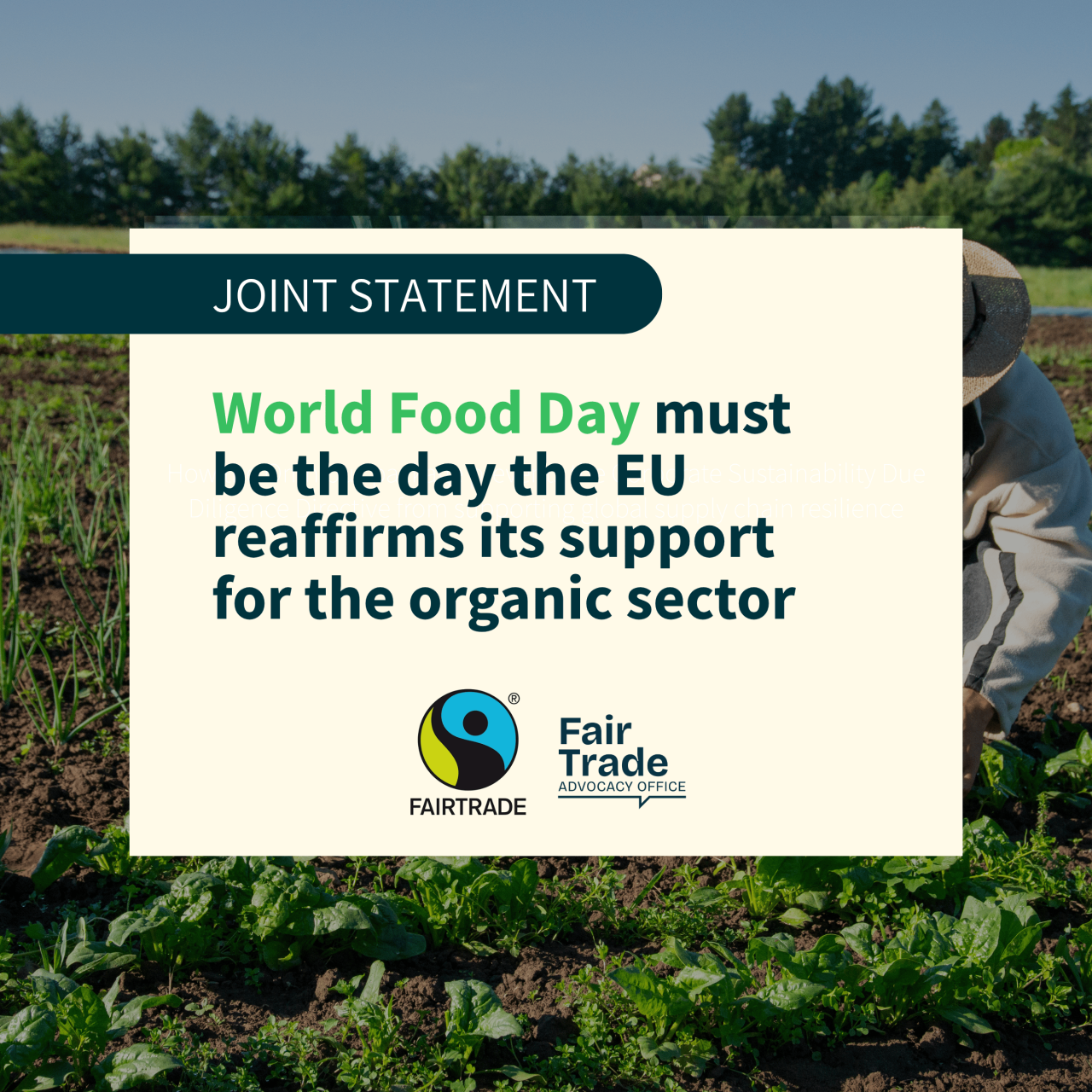 World Food Day must be the day the EU reaffirms its support for the organic sector