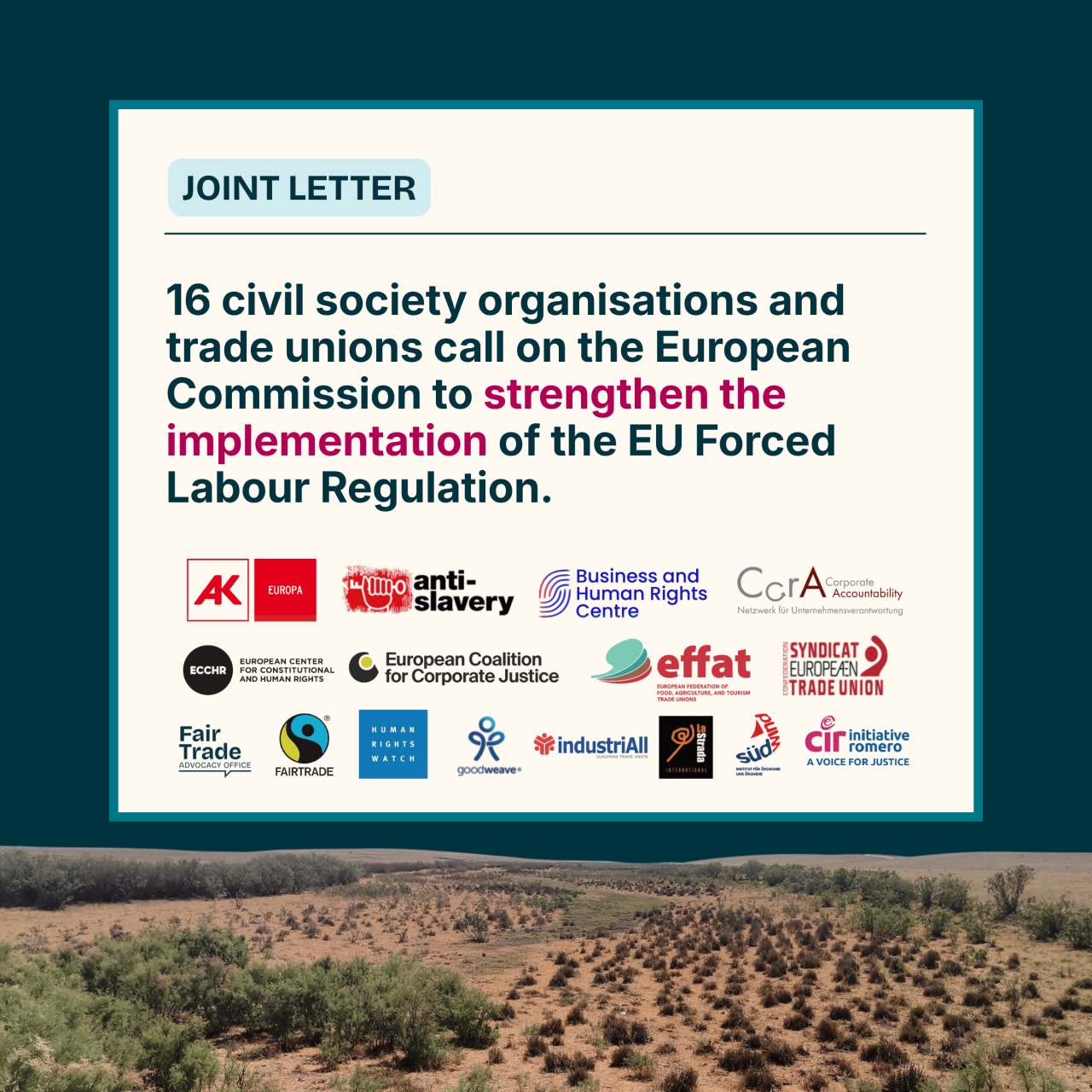 Joint letter: CSOs and trade unions call on the European Commission to strengthen the implementation of the EU Forced Labour Regulation