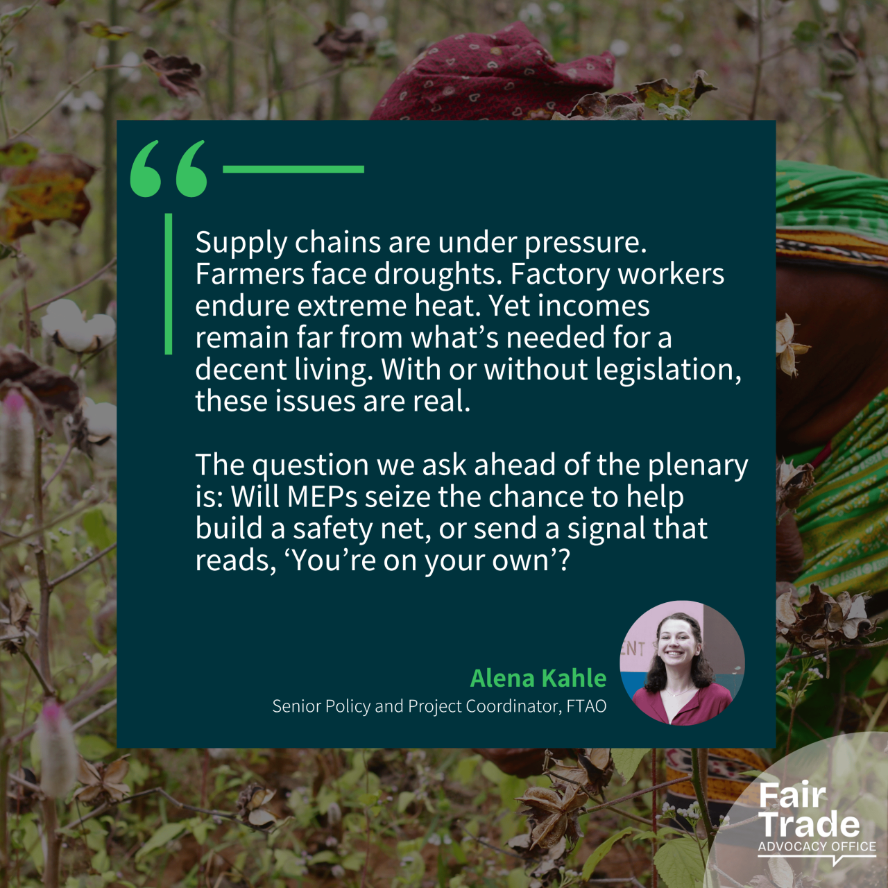 Fair Trade Movement urges MEPs to seize the opportunity to strengthen CSDDD in upcoming plenary vote