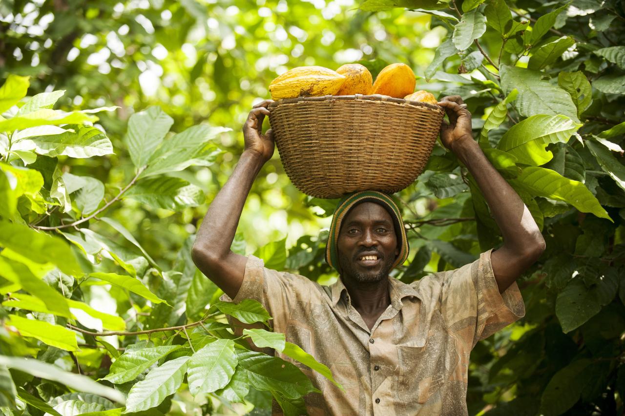 The Future is Fair - empowering Producer Organisations to achieve the SDGs