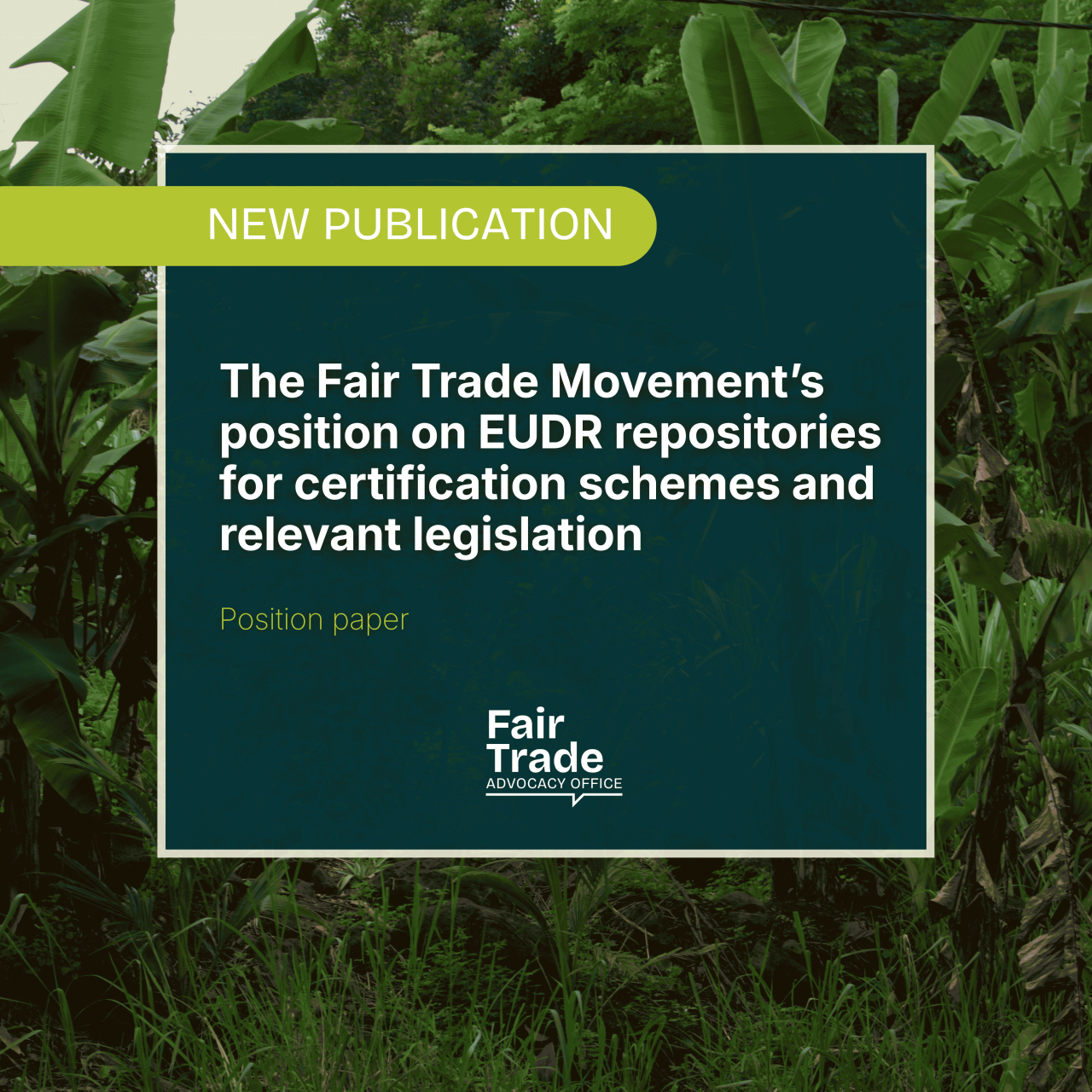 The Fair Trade Movement’s position on EUDR repositories for certification schemes and relevant legislation