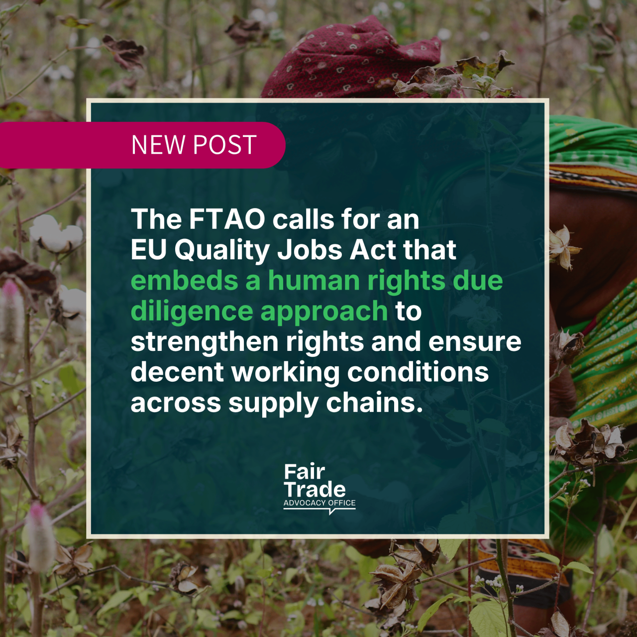 The Fair Trade Advocacy Office's position on the upcoming EU Quality Jobs Act