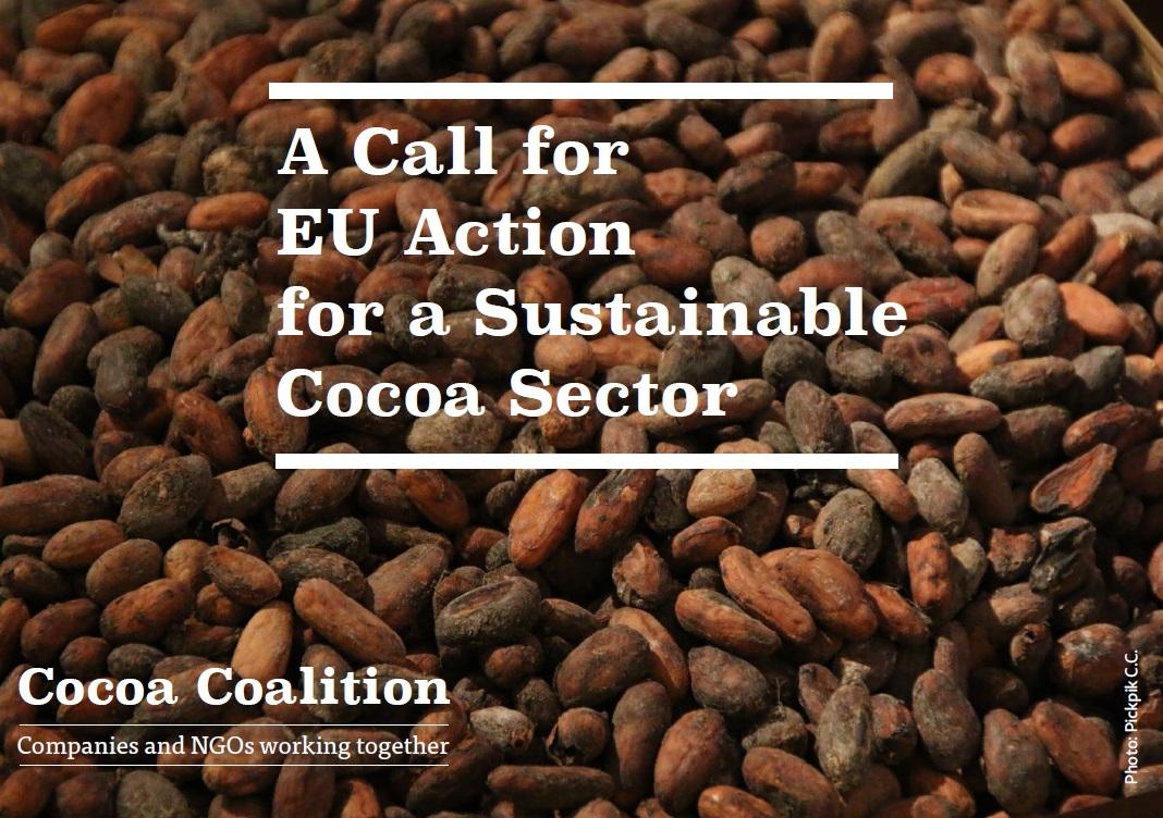 A Call for EU Action for a Sustainable Cocoa Sector