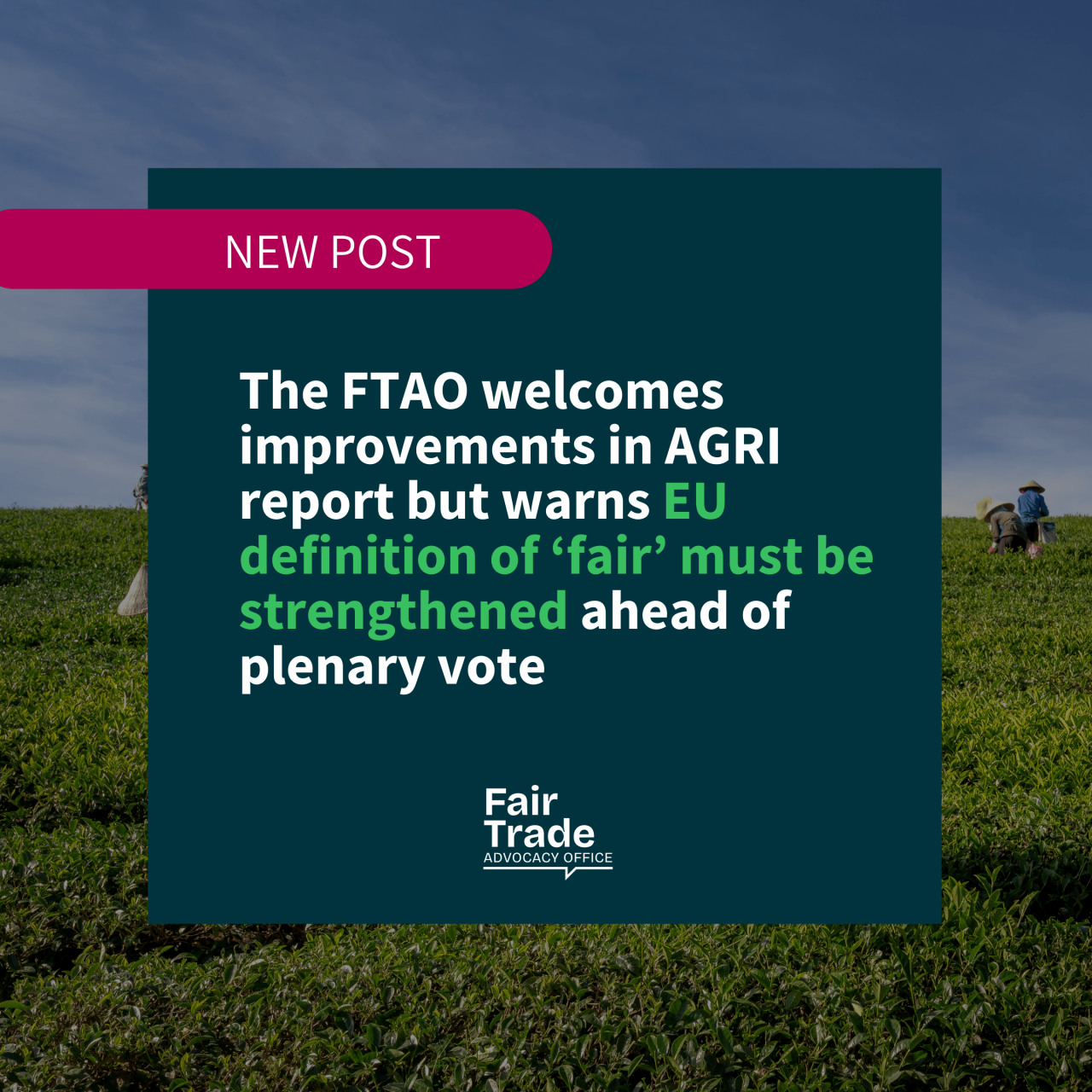 The FTAO welcomes improvements in AGRI report but warns EU definition of ‘fair’ must be strengthened ahead of plenary vote
