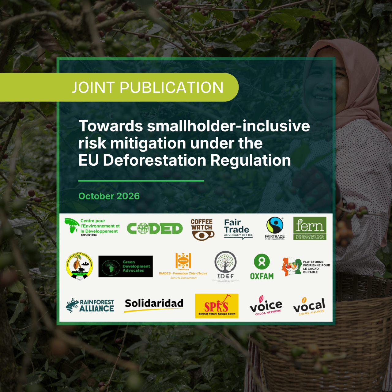 Joint Briefing: Towards smallholder-inclusive risk mitigation under the EU Deforestation Regulation