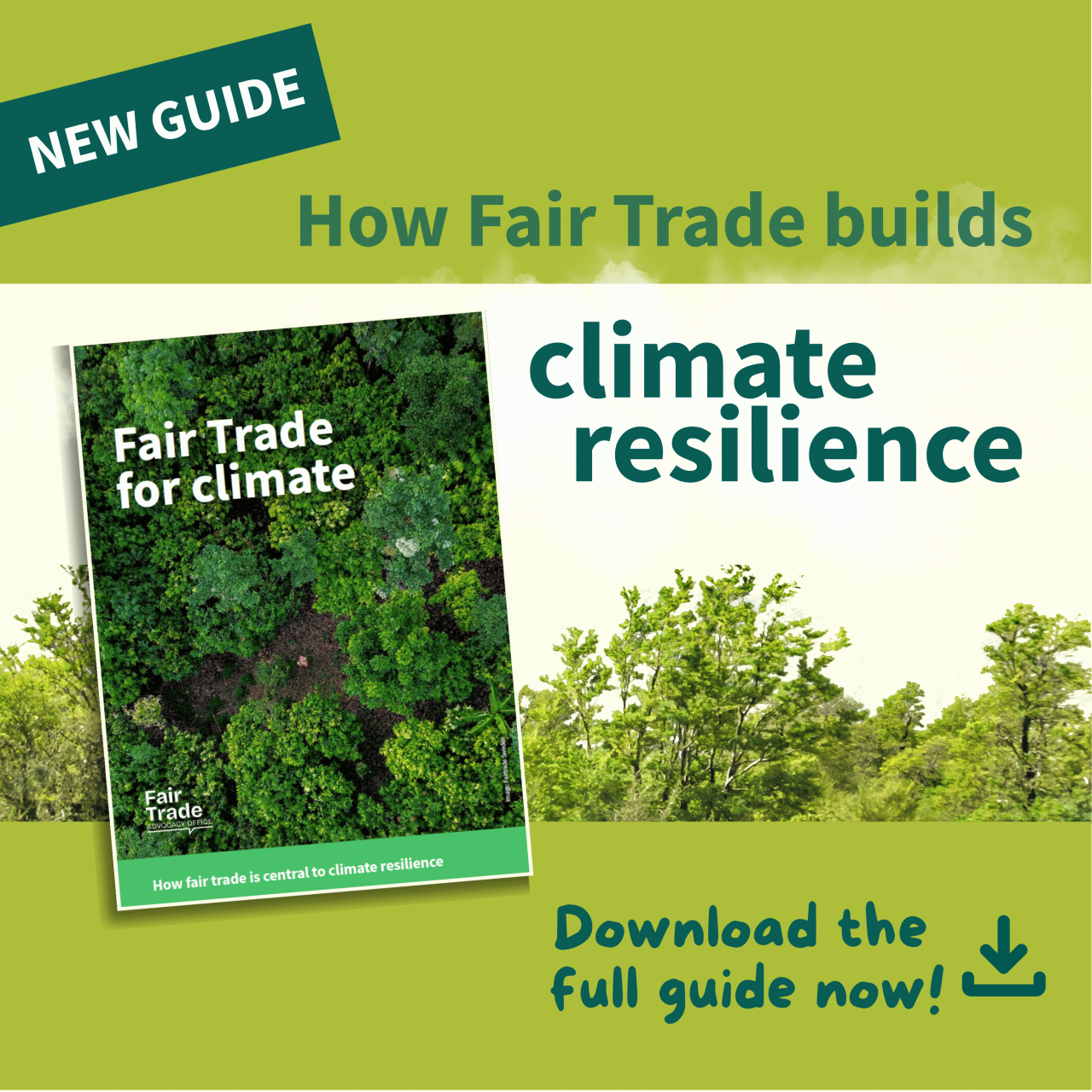 Fair Trade for climate: How fair trade is central to climate resilience