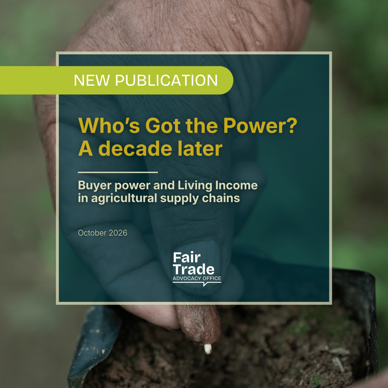 Who’s Got the Power? A decade later - Buyer power and Living Income in agricultural supply chains