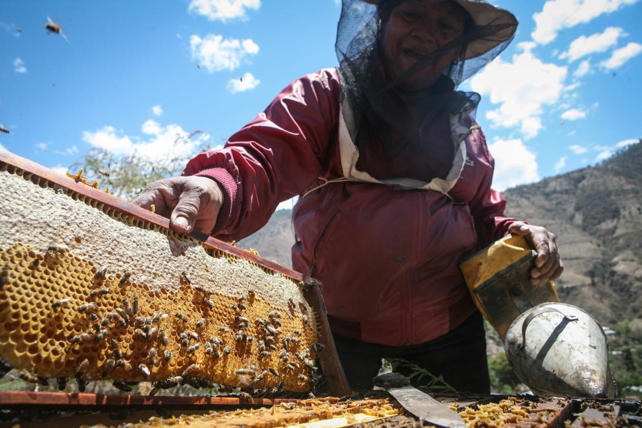 The EU Unfair Trading Practices Directive: delivering tangible benefits for non-EU farmers and workers