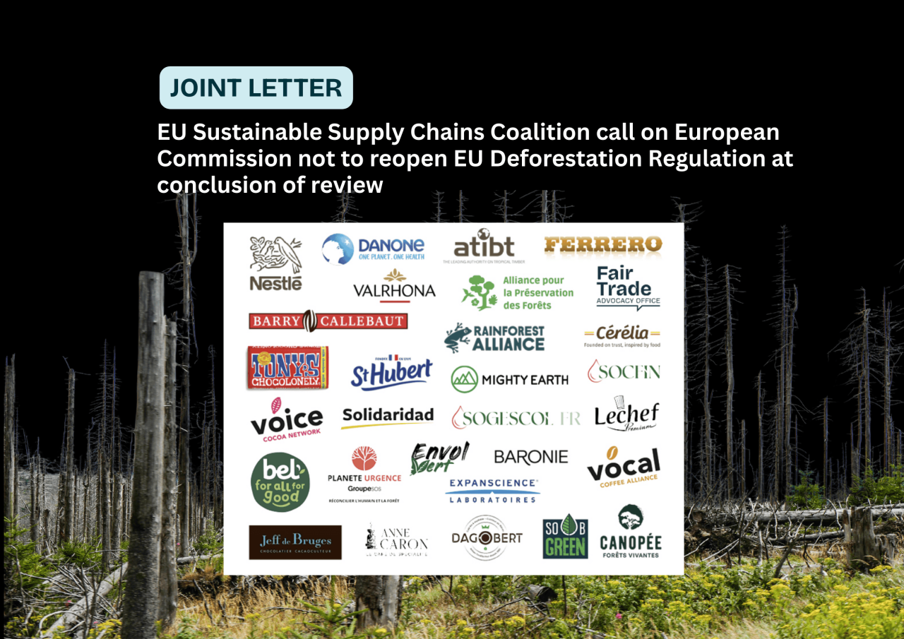 Joint letter: Call on European Commission not to reopen EU Deforestation Regulation