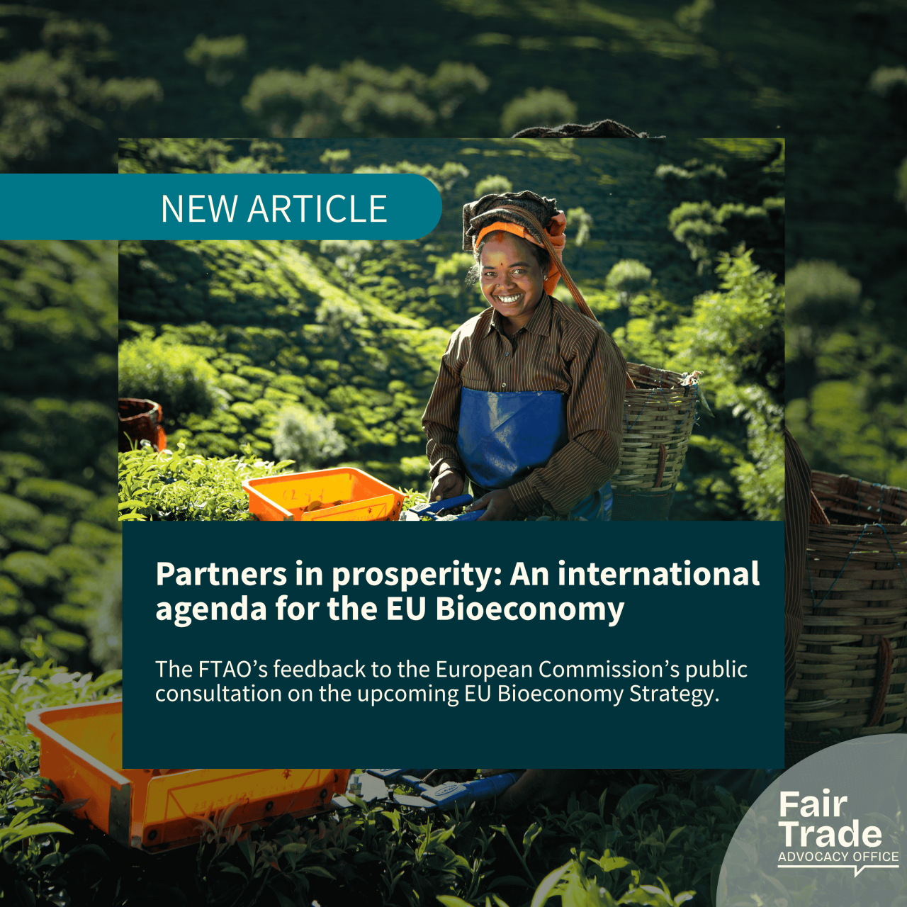 Partners in prosperity: An international agenda for the EU Bioeconomy