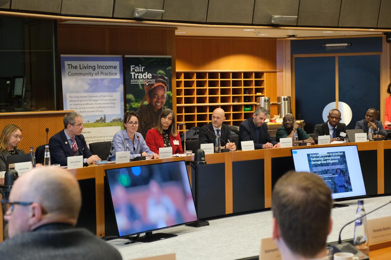 Roundtable at European Parliament explores how due diligence can advance Living Income for smallholder farmers and self-employed workers