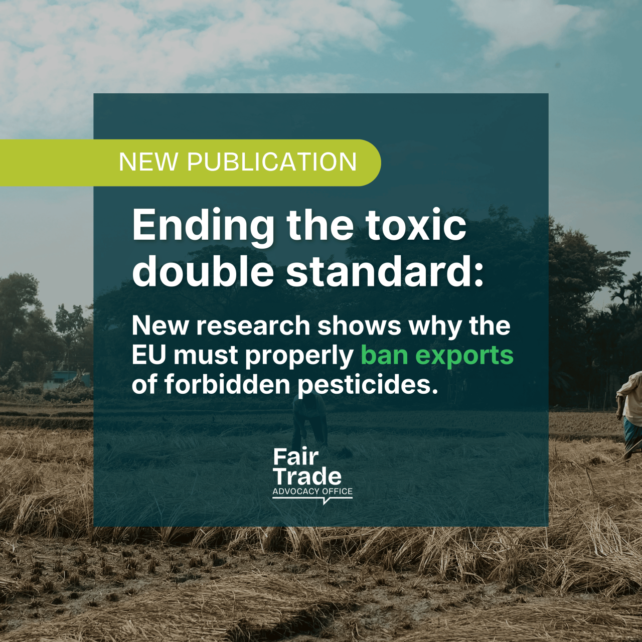 Ending the toxic double standard: New research shows why the EU must properly ban exports of forbidden pesticides