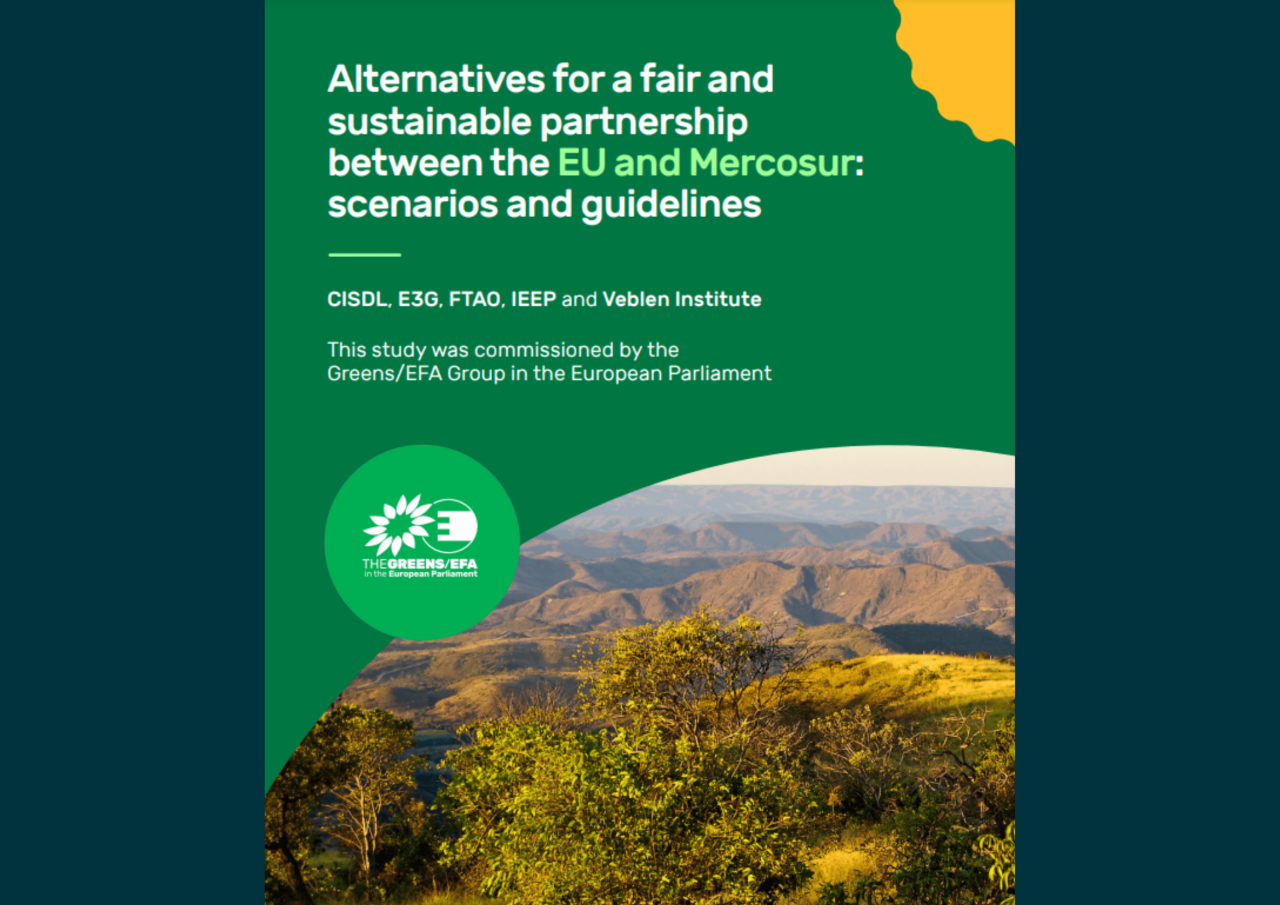 Alternatives for a fair and sustainable partnership between the EU and Mercosur: scenarios and guidelines