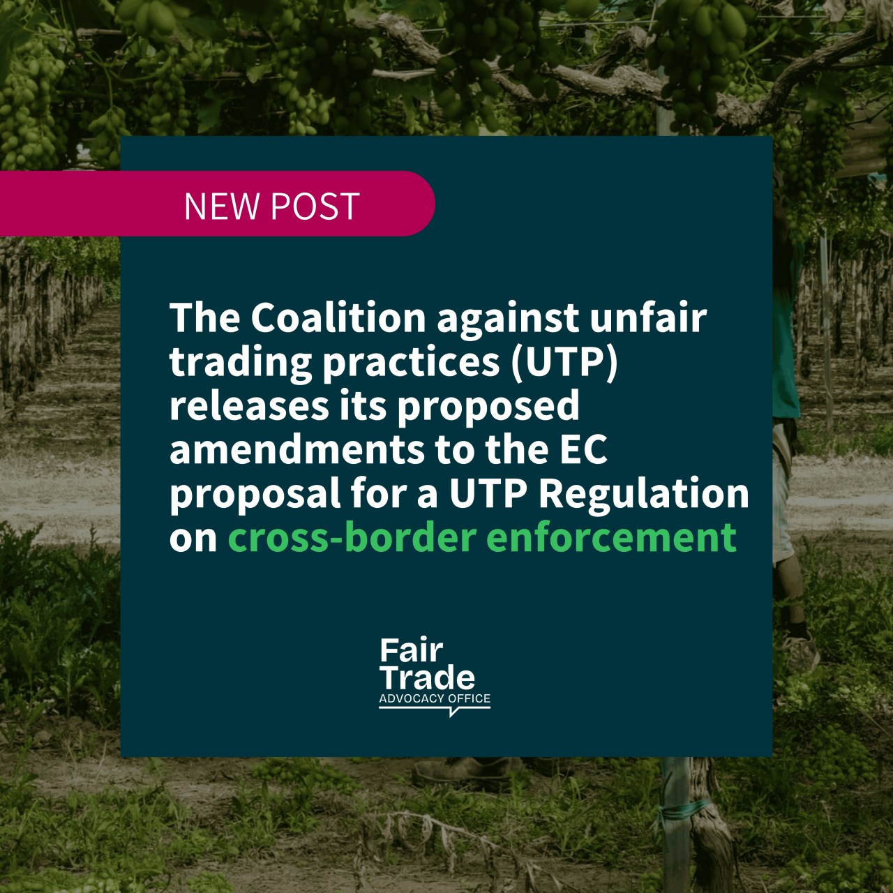 UTP Coalition releases proposed amendments to the proposal for a UTP Regulation on cross-border enforcement