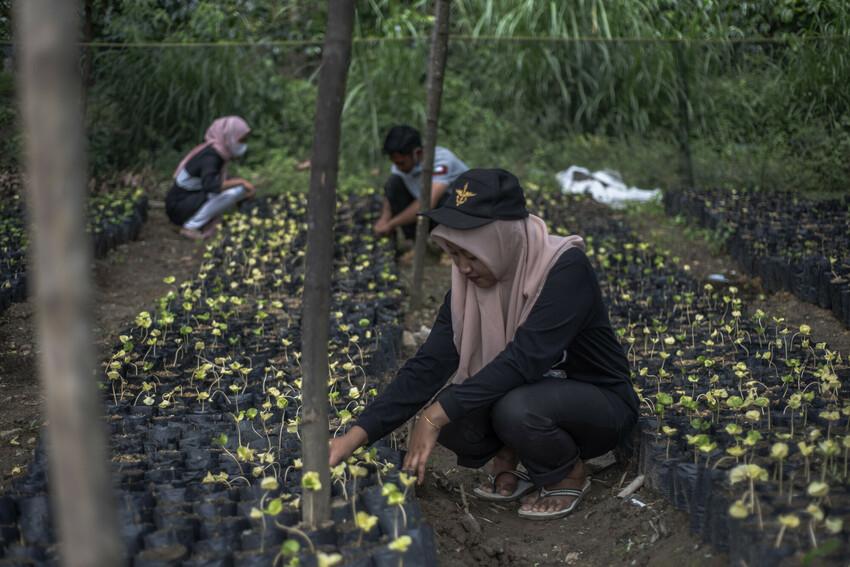 Embedding Fair Trade principles within the EU Quality Jobs Roadmap