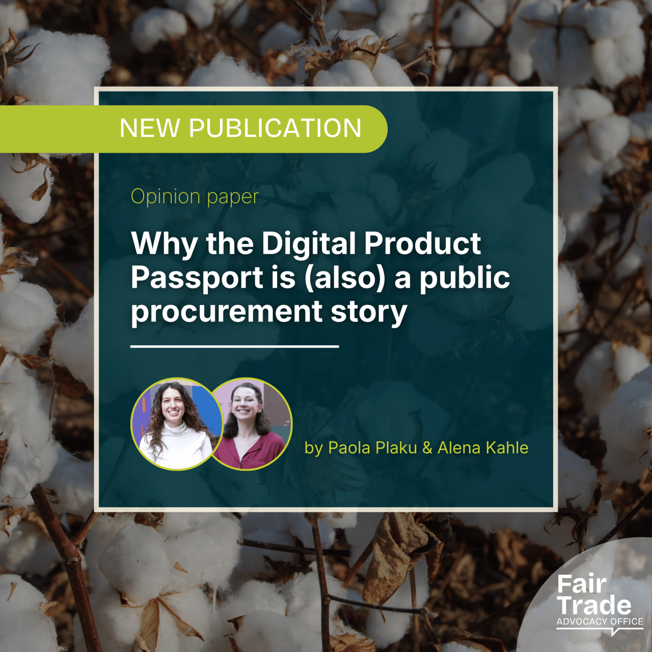 Why the Digital Product Passport is (also) a public procurement story