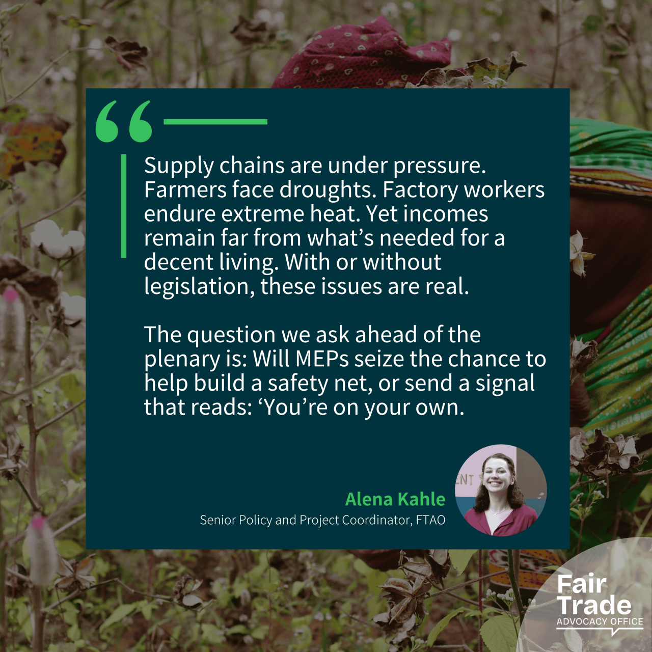 Fair Trade Movement urges MEPs to seize the opportunity to strengthen CSDDD in upcoming plenary vote