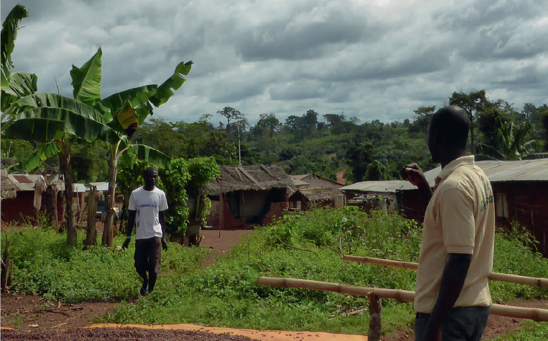 Towards sustainable cocoa supply chains: Regulatory options for the EU