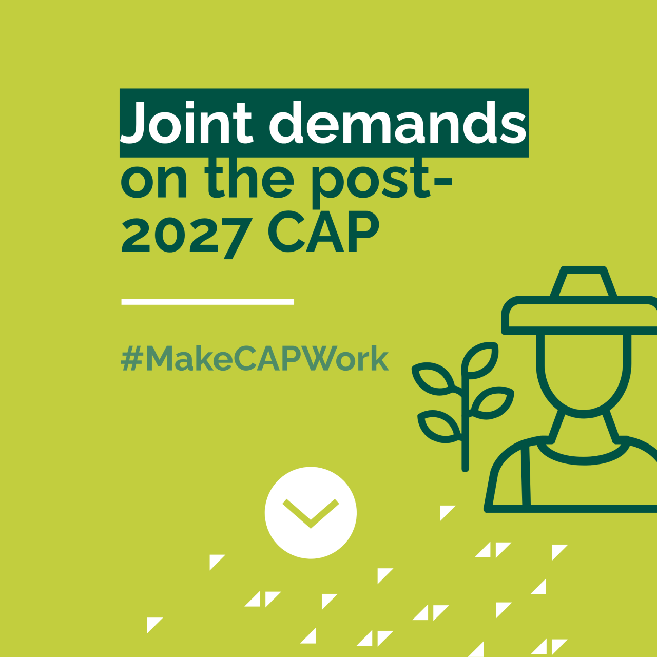 +30 CSOs launch joint demands on the post-2027 Common Agricultural Policy (CAP)