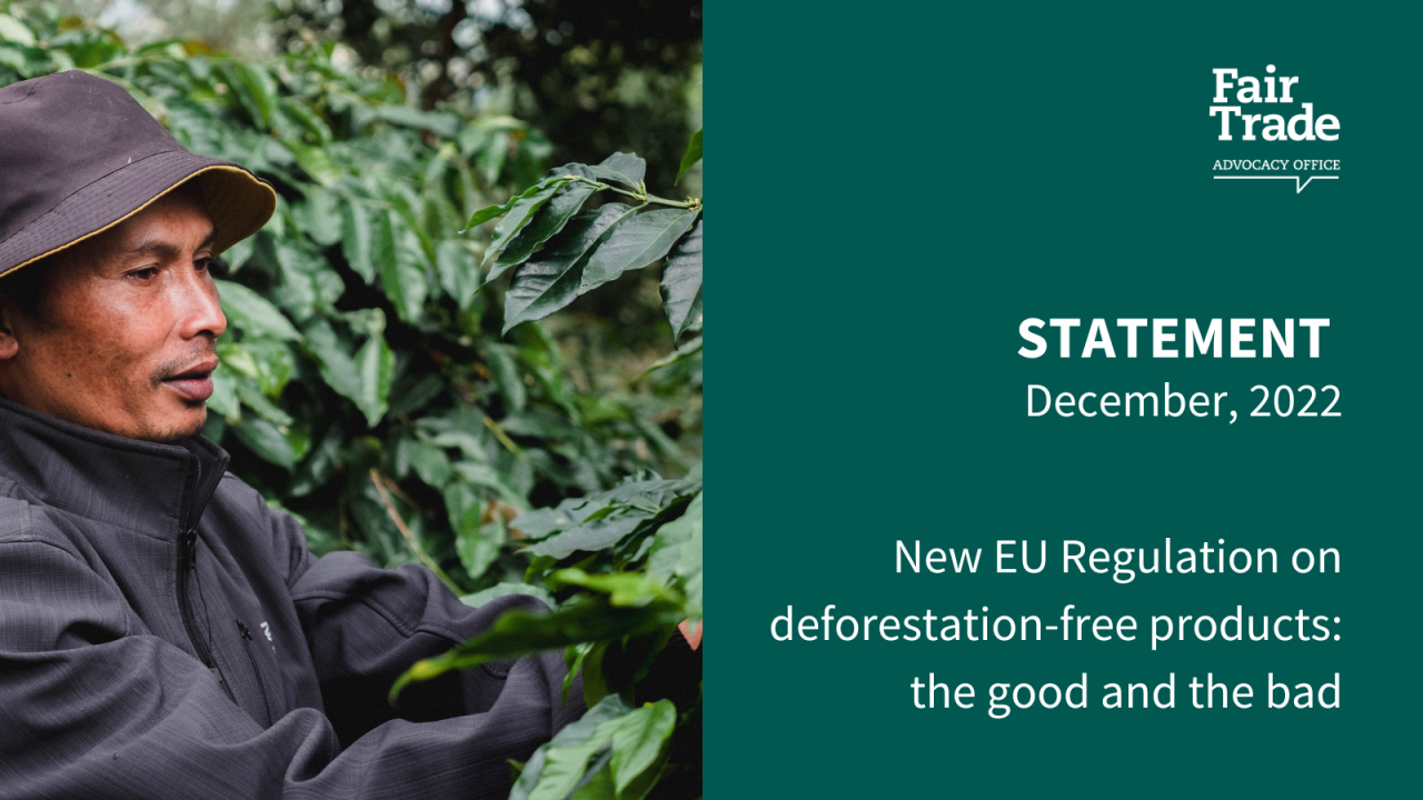 New EU Regulation on deforestation-free products: the good and the bad