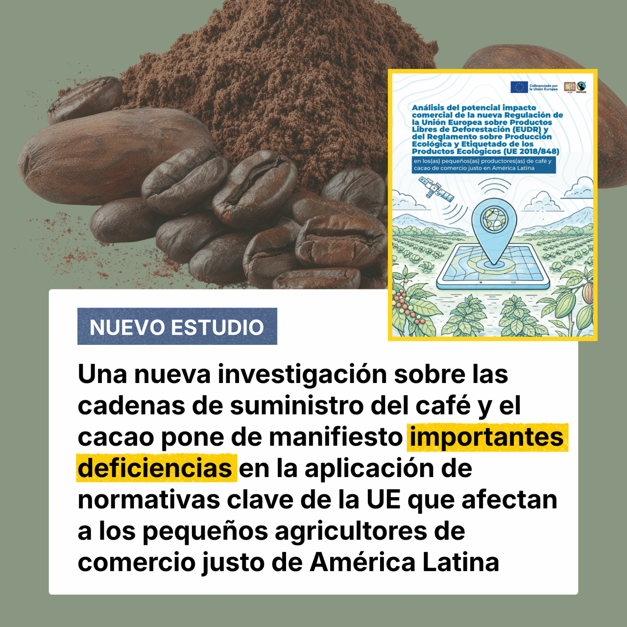 Lo que nos dicen los productores de café y cacao de América Latina sobre las normativas de la UE que se aplican de forma generalizada