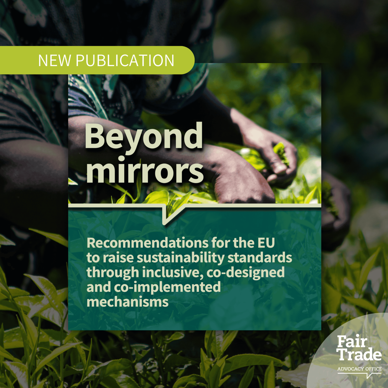 Beyond mirrors: Recommendations for the EU to raise sustainability standards through inclusive, co-designed and co-implemented mechanisms