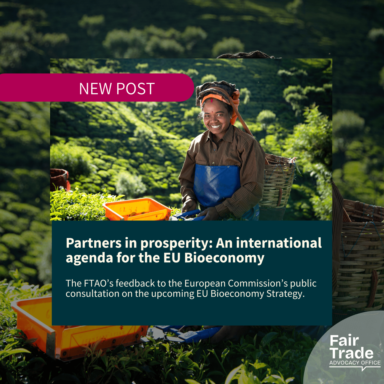 Partners in prosperity: An international agenda for the EU Bioeconomy