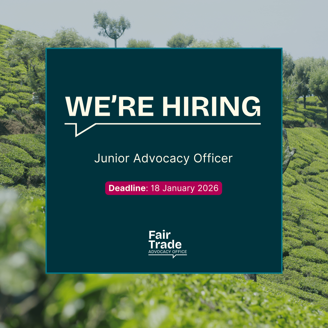 JOB OPENING: Junior Advocacy Officer