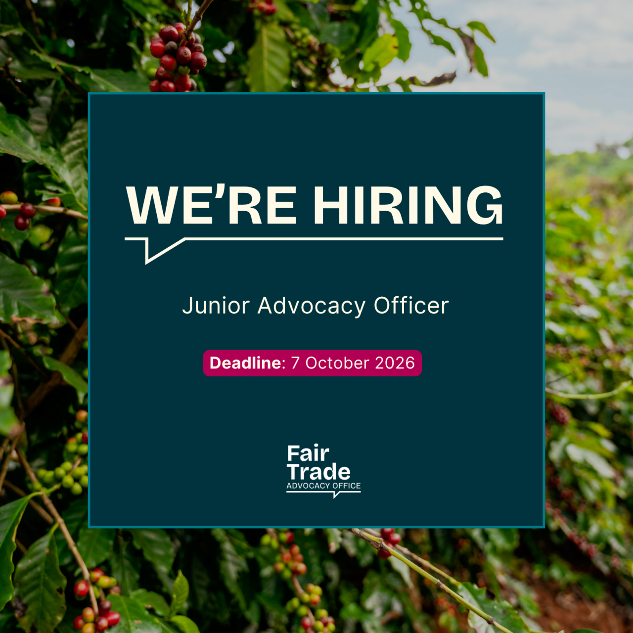 Junior Advocacy Officer (Paid traineeship)