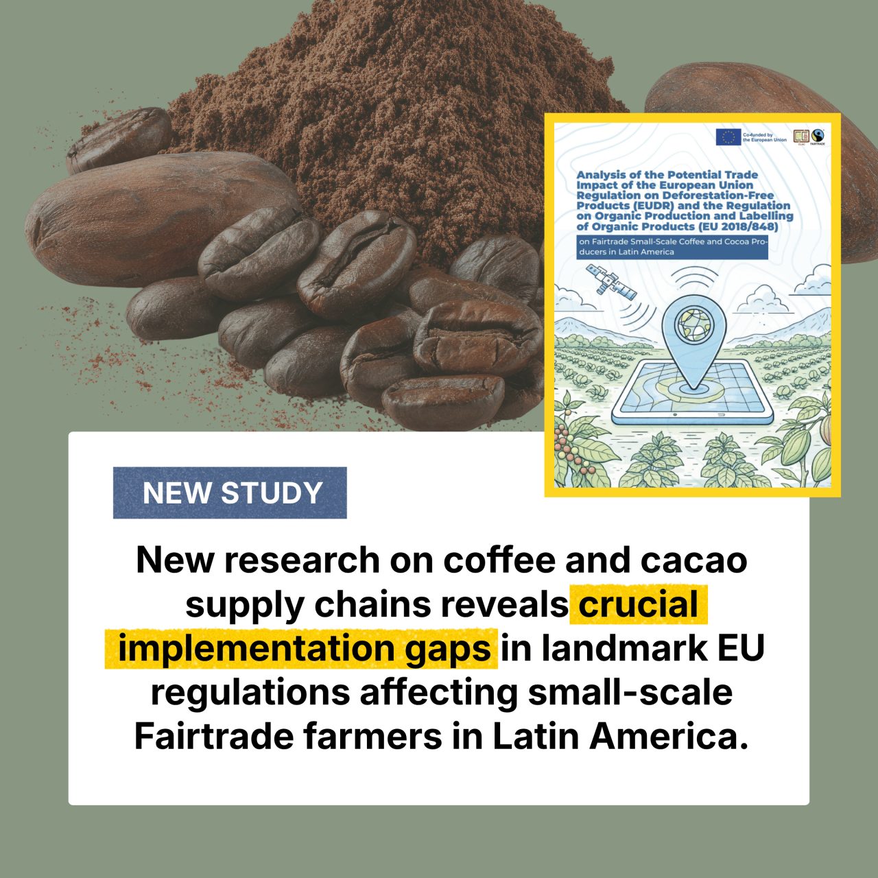 What Latin American coffee and cocoa farmers are telling us about one-size-fits-all EU regulations