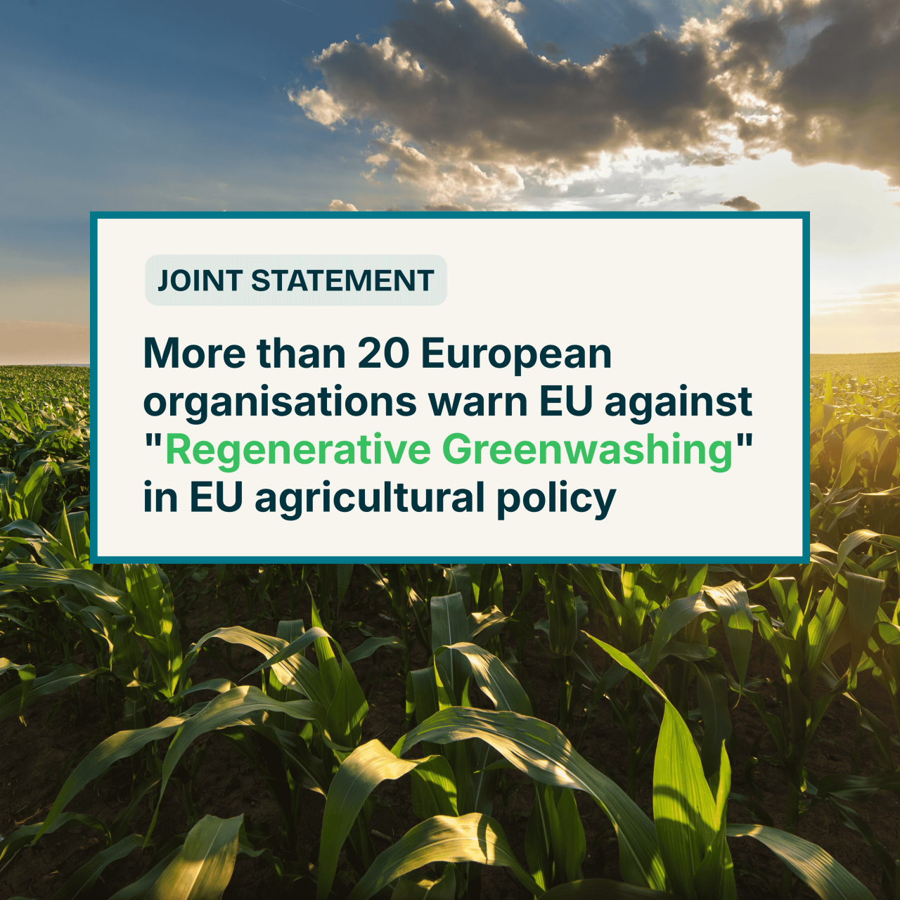 Joint statement: More than 20 European organisations warn EU against "Regenerative Greenwashing" in EU agricultural policy